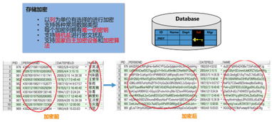 安華金和數(shù)據(jù)安全治理框架下的數(shù)據(jù)內(nèi)部存儲安全技術(shù) 數(shù)據(jù)處理與存儲服務(wù)的關(guān)鍵實踐